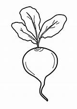 Radish Burak Vegetable Beet Czerwony Beetroot Kolorowanka Biet Legumes Druku Groente Gemüse Czerwonego Clipartmag Buraka Designs Ausmalen Frutas Jak Tischlein sketch template