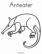 Anteater Coloring Ant Outline Twistynoodle Built California Usa Print Designlooter Noodle sketch template
