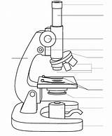 Microscope Quizlet Labeling sketch template