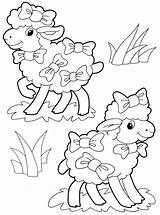 Sheep Coloring Pages Kids sketch template