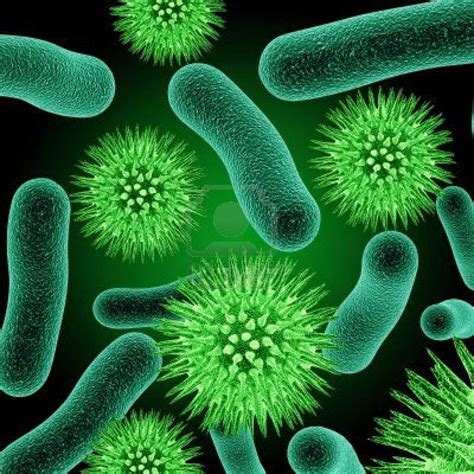 bacterien wat zijn bacterien