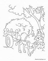 Bullock Cart Coloring Pages sketch template