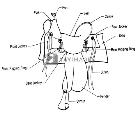 parts   western saddle diagram