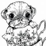 Coloring Pug Pages Dog Cute Adults Baby Printable Print Colouring Kids Teacup Adult Puppy Sheets Animal Color Puppies Book Boys sketch template