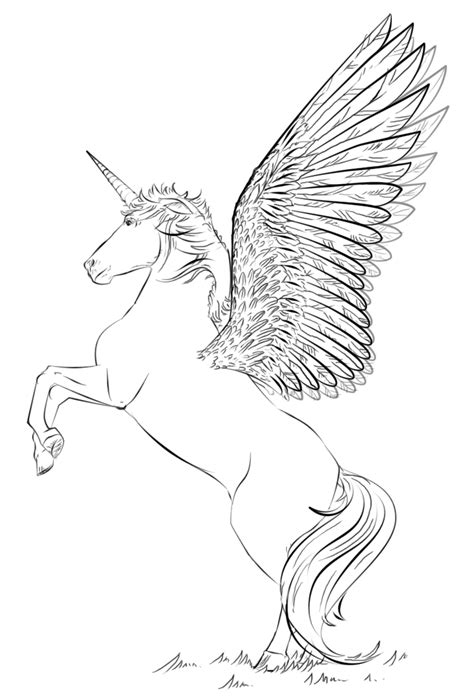 unicorn  wings coloring page  printable coloring pages