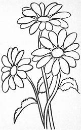 Margarita Flower sketch template