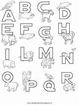 Alfabeto Lettere A01 Colorare Disegni Alfabeti sketch template