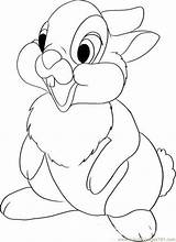 Thumper Disney Bambi Draw Step Coloring Characters Drawings Drawing Cartoon Rabbit Cartoons Character Pages Sketches Printable Easy Color Flower Animation sketch template