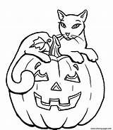 Coloring Halloween Cat Pages Printable Scary Pumpkin Pumpkins Print Color Dog Cute Kids Cats Sheets Sitting Beautiful Fall Adults Witch sketch template