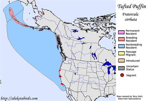 tufted puffin species range map