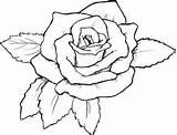 Coloring Pages Rose Printable Choose Board Color Roses sketch template