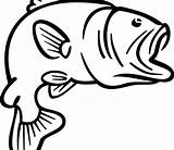 Bass Coloring Fish Pages Clipart Outline Printable Clipartbest Clipartmag Choose Board sketch template