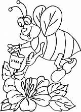 Coloring Pages Bee Honey Flower Bees Drawing Homies Bumblebee Queen Printable Clipart Kids Drawings Library Template Collects Animal Getdrawings Parentune sketch template