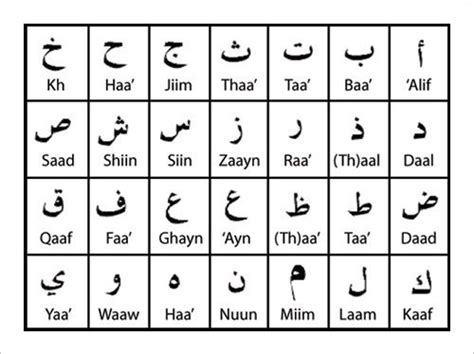 arabic alphabet letters   psd  arabic alphabet