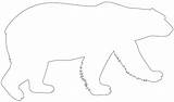 Orso Polare Polar Sagome sketch template