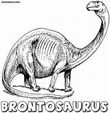 Brontosaurus Coloring Pages Print sketch template