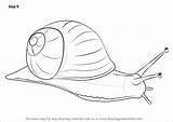 Snail Snails Improvements sketch template