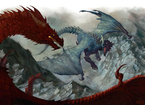 red dragon  blue dragon dragons photo  fanpop