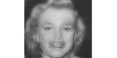 einstein or marilyn this mind blowing optical illusion tests your eyesight