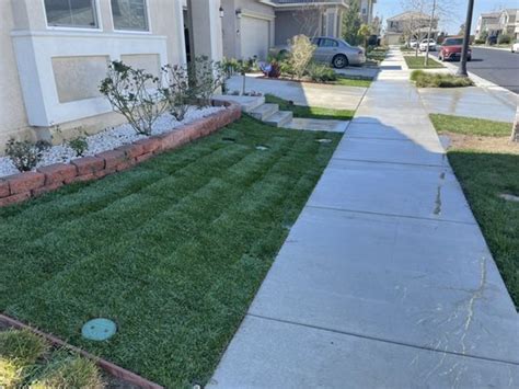 prolific landscaping   landscaping los angeles ca