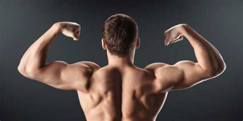 move upper body workout  builds muscle