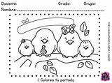 Examen Preescolar Fichas Colorear Dificultad Baja Educativas Descargalo Entrada Pajaritos Dia sketch template