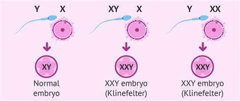 Omidfertilityclinic