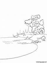 Lac Printable Naturaleza Habitats Coloriages Drawing Colorier sketch template