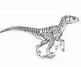 Velociraptor Getcolorings Jurassic Raptor sketch template