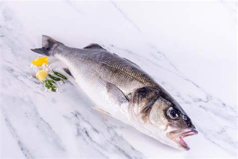 Buy Wild Sea Bass Online Sustainably Caught Free 24hr Delivery