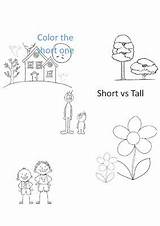 Tall Short Coloring Worksheets Kindergarten Template Pages sketch template