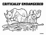 Endangered Critically Extinct Tpt sketch template