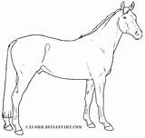 Horse Warmblood Caballo Danish Pferde Ausmalbilder Breeds Ausmalen Andalusier Caballos Lineart Pferderassen Categorías sketch template