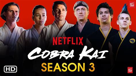 Cobra Kai Season 3 Release Date And More Droidjournal