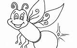 Firefly Coloring Drawing Insect Getdrawings sketch template