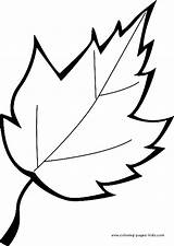 Leaf Leafs sketch template
