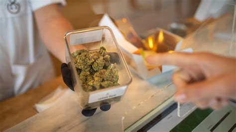 In Amsterdam Getting High At Coffee Shops May Soon Be For Locals Only