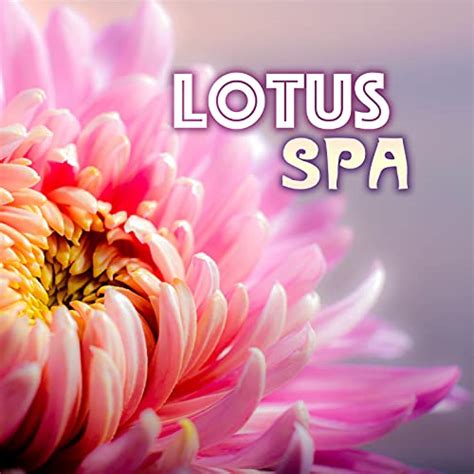 play lotus spa asian zen meditate  massage  asian zen spa