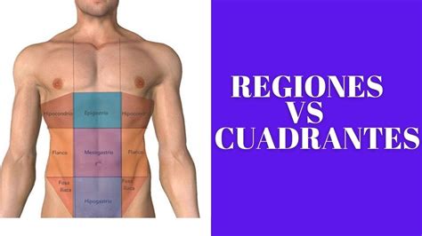 regiones del abdomen vs cuadrantes del abdomen youtube