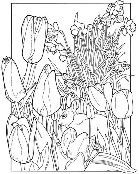 spring season  nature  printable coloring pages