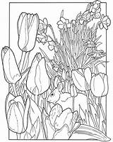 Spring Coloring Pages Garden Nature Flowers Season Colouring Flower Printable Print Book Para Dover Adult Color Tulips Publications Colorear Sheets sketch template