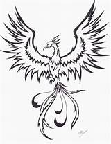 Phoenix Tattoo Tribal Lưu Tattoostime ã Từ sketch template