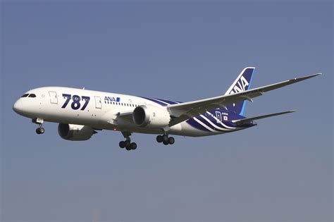 fileall nippon airways boeing   dreamliner jaa okj  flightjpg wikipedia