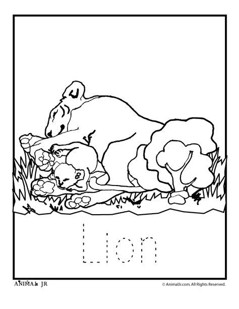 zoo babies lions zoo animal coloring pages zoo animals animal