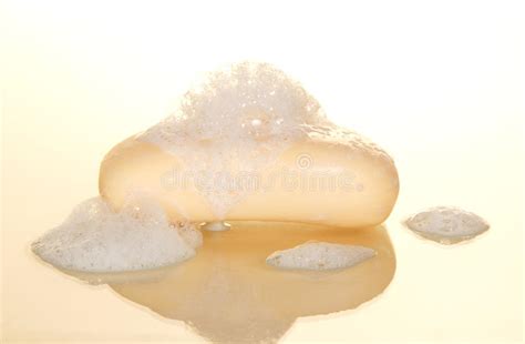 wet soap with foam stock image image of pure fresh