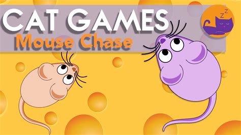 Cat Games Catching Mice 🐭 New At Home Entertainment Just For Cats