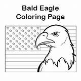 Bald Patriotic sketch template