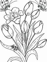 Bunga Mewarnai Flower Tulip Kumpulan Sd Pintarmewarnai Paud Tulips Gaddynippercrayons sketch template