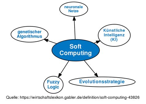 soft computing definition gabler wirtschaftslexikon