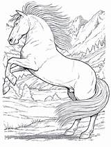 Pferde Ausmalbilder Pferd Malvorlagen Wildpferde Horses Besuchen sketch template